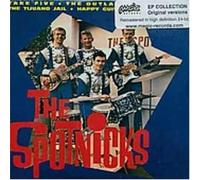 THE SPOTNICKS - Outlaws