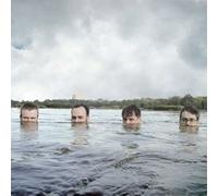 The Steal - Bright Grey