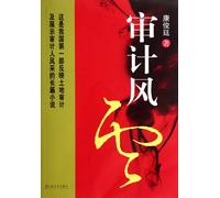 The Storm of Audit (Chinese Edition)