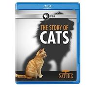 Nature: The Story of Cats