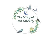 The Story of Our Starling: A Baby Memory Journal Standard Edition