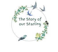 The Story of Our Starling: A Baby Memory Journal Universal Edition