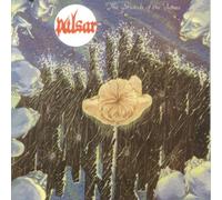 The Strands Of The Future by Pulsar (2000-12-31)