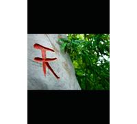 The Strategic Sinologist: Your Definitive HSK Success Guide