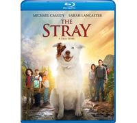 The Stray (Blu-ray) Sarah Lancaster Michael Cassidy Connor Corum Mitch Davis