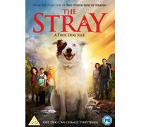 The Stray (DVD) Scott Christopher Cory Dangerfield Eliza de Azevedo Brown