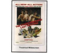 The Street Fighter's Last Revenge: Theatrical Widescreen