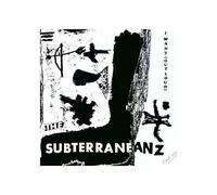 The Subterraneanz - I Want (Out Loud) [12" Maxi, DE, Big Store BST 010]