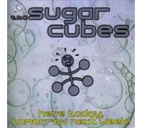 The Sugarcubes Here Today,Tomorrow, Next Week - Black (Vinyl LP)