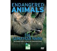 The Sumatran Rhino (Endangered Animals)