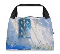 The Sun Shines In Lunch Bag per donne e uomini, riutilizzabile, borsa termica per il pranzo, grande capacità, contenitore per il pranzo, per lavoro, ufficio, picnic, viaggi