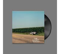 The Sunset Violent [輸入盤アナログ / 数量限定 ／ DLコード付き] (WARPLP350)_1889 [Analog]