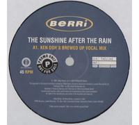 The Sunshine After The Rain