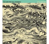 The Sure Fire Soul Ensemble Build Bridges (CD) Album
