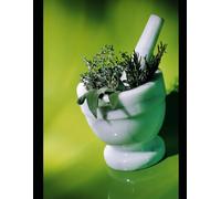 The Tea Tonic - A journey Through Herbal Infusions & Beyond