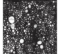 The Telescopes As Light Return (CD) Album