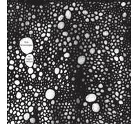 The Telescopes As Light Return (CD) Album