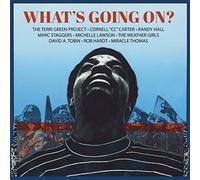 The Terri Green Project - What'S Going On