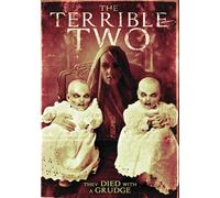 The Terrible Two (DVD) Reid Doyle Cari Moksow Donny Boaz Billy Lewis