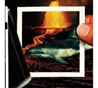 The Thermals We Disappear (CD) Album