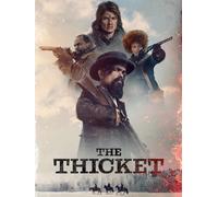 The Thicket (DVD) Peter Dinklage Juliette Lewis Ned Dennehy Arliss Howard