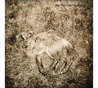 The Third Eye Foundation - Semtex (20th Anniversary Edition)