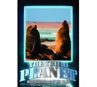 The Third Planet: Wolfpacks (Seals) Of The Namib [DVD] [Edizione: Regno Unito]