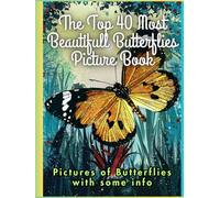 The Top 40 Most Beautifull Butterflies Picture Book: Pictures of Butterflies with some info