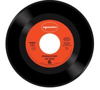The Topics Booking Up Baby (Vinyl LP) 7" Single