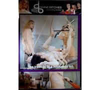 The trainig of a houseboy 1 DIVINE BITCHES 004