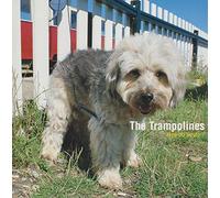 The Trampolines - How Do We Do