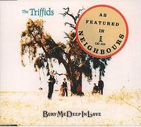 The Triffids - Bury Me Deep In Love (x1+2)