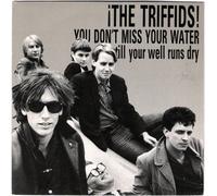 The Triffids - You Don't Miss Your Water Till Your Well Runs Dry