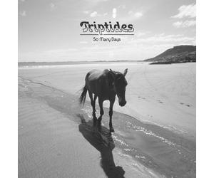 The Triptides So Many Days (Vinyl LP)