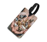 The Twelve - Etichette per bagagli con segno zodiacale cinese, con carta d'identità, etichette resistenti per borse da viaggio, impermeabili, per valigie, zaini e custodie da viaggio, stile nero