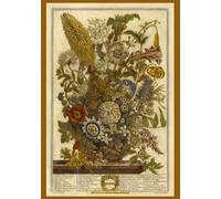 The Twelve Months of Flowers: August