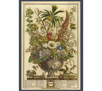 The Twelve Months of Flowers Journal Collection: December