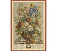The Twelve Months of Flowers Journal Collection: June