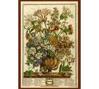 The Twelve Months of Flowers Journal Collection: October