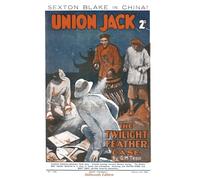 The Twilight Feather Case