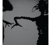 The Twilight Singers Dynamite Steps (CD) Album