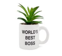 The Ufficio " World's Migliore Boss " 3-Inch Ceramica Mini Vaso Con Artificiale