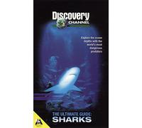 The Ultimate Guide: Sharks