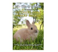 The ultimate guide to raising Netherlands dwarf rabbit: Experts’ tips on care, training and creating the prefect home for your dwarf.