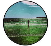 Manic Street Preachers The Ultra Vivid Lament (Vinyl LP) 12" Album Picture Disc