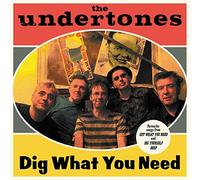 The Undertones - Dig What You Need