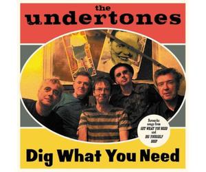 The Undertones Get What You Need (CD) Album