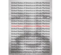 The United States Vs Alfredo Martinez