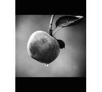 The Universe Without Infinities: The Next Step Beyond Einstein