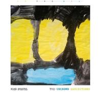 The Unknown Exhibitions - In The Mix